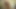 Sürtük heyecanlı azgın orta yaşlı seksi kadın için büyük vibratör ıslak mastürbasyon vol 2