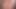 Cdtina'nın hızlı toynağı çekimi