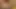 Wonderful Vintage MILFs with Hairy Pussy Ass Fucked and Cummed in Mouth by Big Cocks