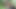 Üçlü piknik, lezbiyen amcık yalama seksi sarışın minyon göt sikişi