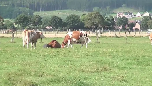 Çiftçi açık havada oral seks - Alman