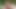 Tushy aldatan kızıl saçlı Megan Longoria iyi bir anal sikişe karşı koyamıyor