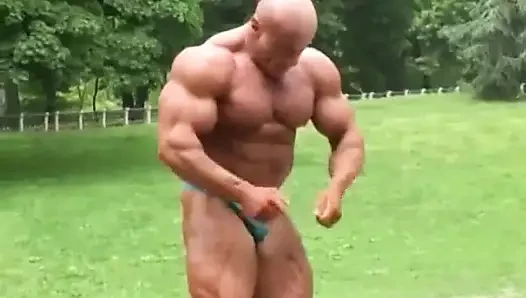 Roidbull