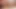 Onu kedi üzerinde cum ile oynayın. yakın çekim kedi lanet 4k 60fps
