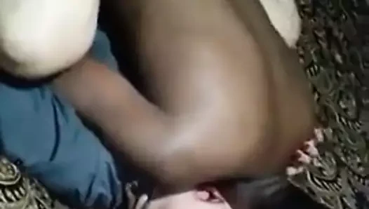 ırklararası KEDİ kremsi