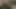 Videonun eğlenceli ve seksi olması