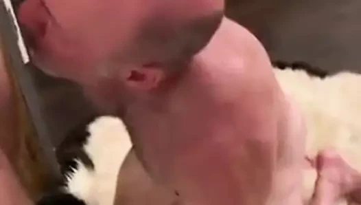 baba sadece seviyor horoz