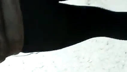 Mükemmel yuvarlak göt