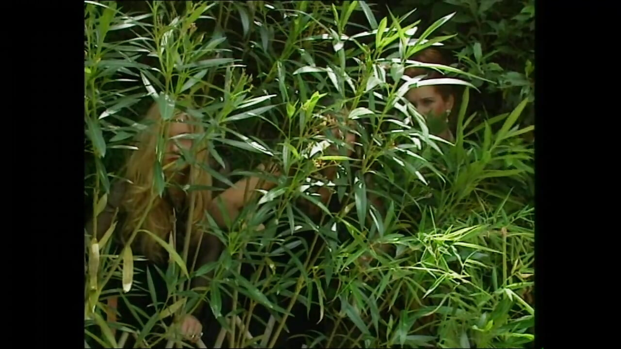 CINDY (tam film)