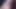Klasik Minyon Ilk Kez Kıllı Çalı Tatlı Penny