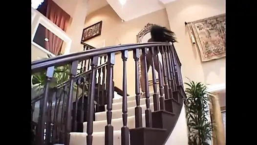 Büyük siyah amcık 69 pozisyonunda amcık yalıyor