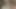 Genç kız ilk pornoda sikişiyor ve emiyor