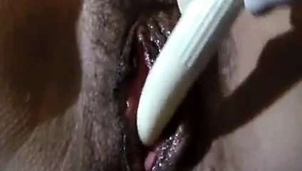 ıslak kıllı olgun KEDİ