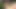 Giddora34 3 boyutlu porno hentai derlemesi 205