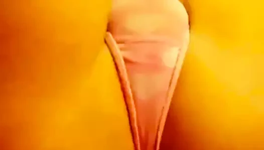 Peggy şişman bir kedi var