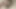 Kocama Oral Seks Yapıyorum! ağzına Boşal!