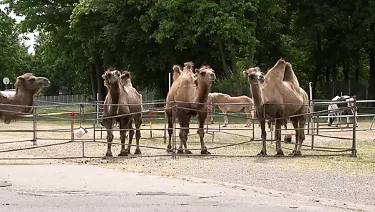 Mia Hotcore ve Lilly sikişiyor