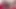 Jenna sativa ve chloe amour hayatlarını birleştiriyor