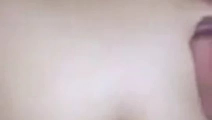 türk köpek hamm lale