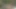 Muhteşem genç erkek arkadaşını görüntülü görüşme ile ısıtıyor