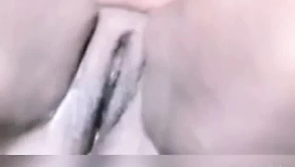 Abanoz eş kedi oynama ile salatalık