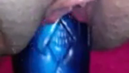 Kedi oyun yakın çekim