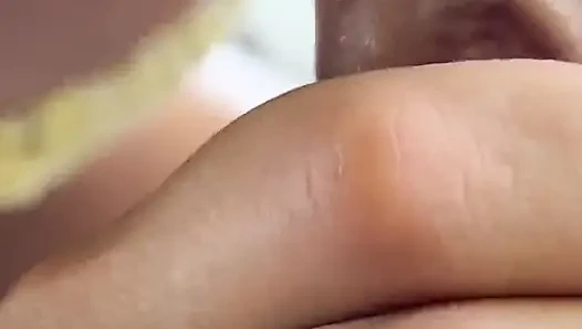 Bali tavşanında oral seks döl seviyor