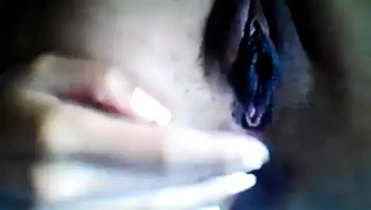 Koyu dudaklı amcık