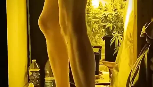 Aşk karım