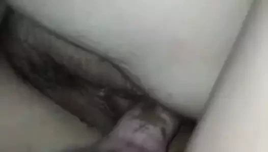 Siyah kedi eş içinde ile horoz