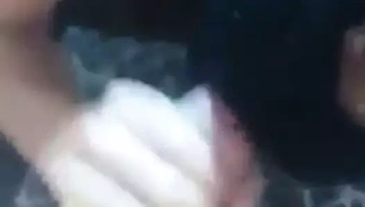 Shemeat sütü beslemek