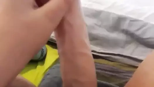 ıslak kedi ile oynamak