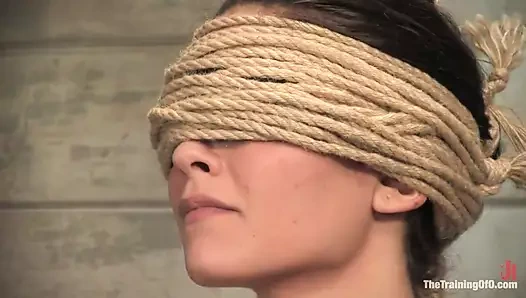 Jade Indica'nın eğitimi, üçüncü gün