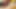 I suck my fat neighbor's dick while my husband is away at work
