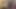Dört seksi kızla striptiz yüksek kart heyecanlı bir oyun