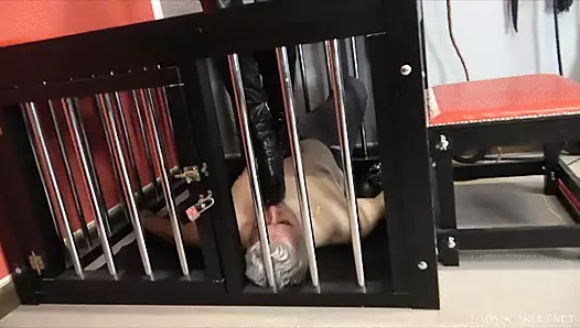 BAYAN SCARLET - KAFESE GIRIYOR