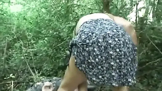 Hollandalı fanteziler: Hollanda fantezisi #190