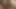 Kayla Carrera ve Lily Cade ile lezbiyen video orta yaşlı seksi kadın