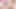 Haley Spades ve Sasha Pearl büyük siyah yarağı emiyor ve biniyor