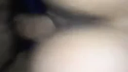 Domaltmalı latin sürtük