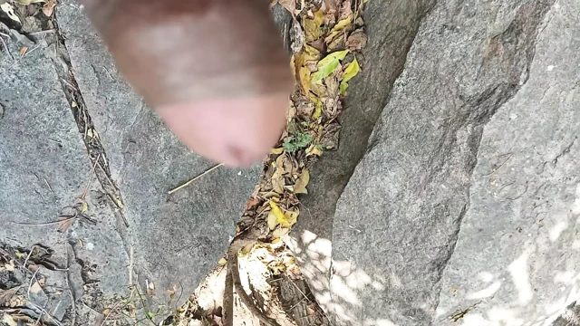 Tamil oğlan orman kadınlarında seks yapıyor