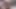 Hot wife sucking my dick