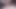 Girl with glasses sucking balls and dick