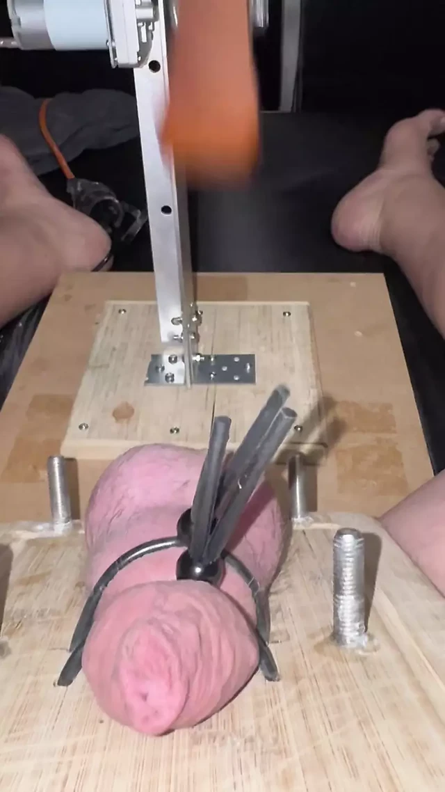 Машина для пытки яиц