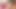 Petitehdporn sıkı küçük kedi buluşuyor büyük horoz