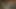 Çarpıcı transeksüel vurma benim göt