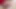 Seksi tranny bayan yeni seviyor spencer tilki sert çük içinde ona göt