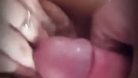 Yapışkan cumload üzerinde ona ıslak kedi