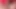 İki kadın bir erkek amcık yalama, yüze oturma, oral seks, boşalma ve boşaldıktan sonra emiyor ev yapımı üçlü seks videosu