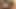 Üniversite üniformalı üniversiteli kız götünü sikiyor yarak emiyor... ağzına boşalma